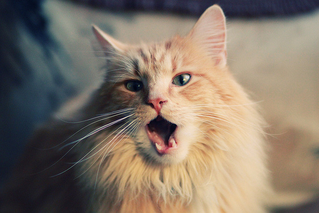 伊布式爆发与黄潜奇迹，比利亚雷亚尔逆转拉齐奥的战术启示录