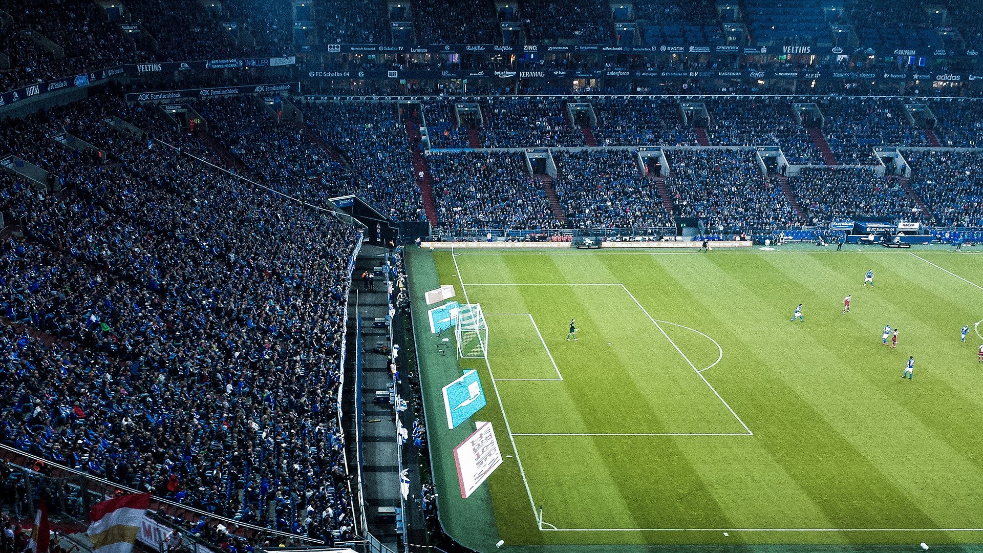 从灰熊到世界之巅，武切维奇如何以孟菲斯式坚韧接管2026世界杯